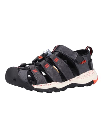 Keen Sandalen in Grau/Orange