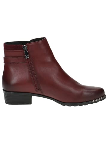 Caprice Stiefelette in BORDEAUX COMB