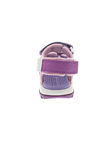 Geox Borealis Girl Sandale Violett