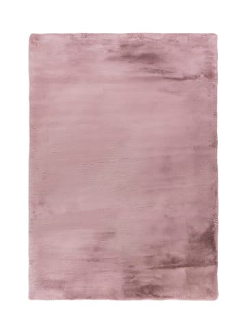 Arte Espina Hochflor Teppich Rabbit 125 in lila - rechteckig