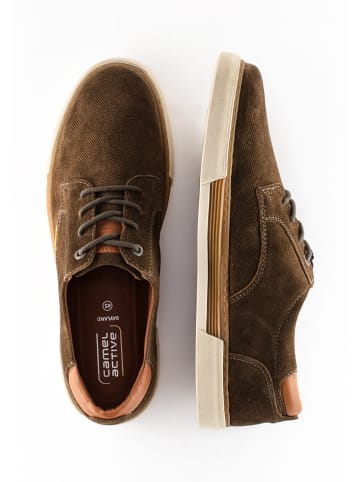 Camel Active Sneaker aus Leder in Dunkelgrün