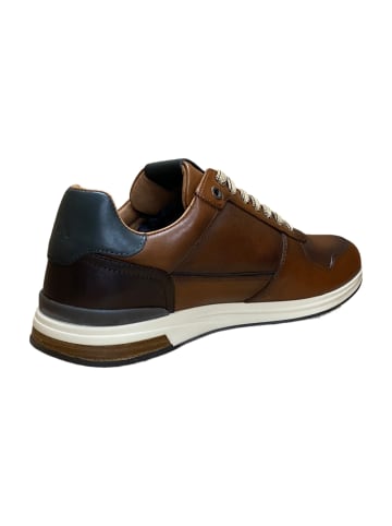 Ambitious Sneaker Low in Braun