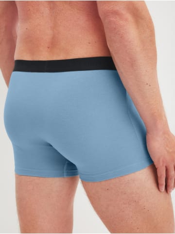 Calida New Boxer, 3er-Pack in glacier lake