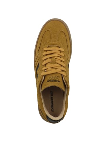 Flamingos Life Sneaker low Burela Bold in braun