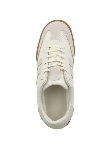 Steve Madden Sneaker low Verdict XT in weiss