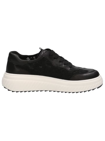 Caprice Sneaker in BLACK COMB