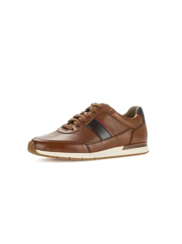 Pius Gabor Sneaker low in braun