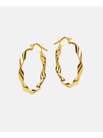 Vanlere Creolen aus 375 Gelbgold