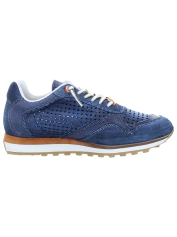 Cetti Sneaker Low in blau