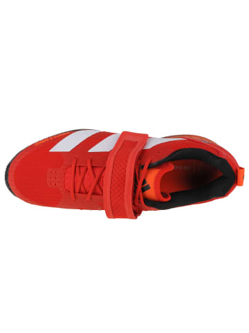 adidas Performance adidas Adipower Weightlifting 3 in Rot