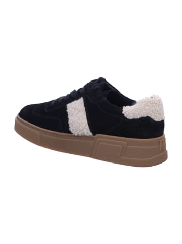 Paul Green Sneaker in schwarz