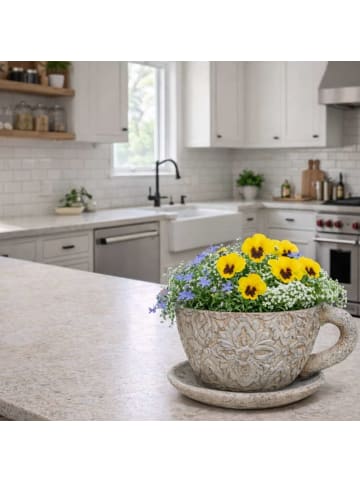 AltoBelli Blumentopf FIORENZA Zement Antik Grau Patina Deko Tasse mit Untertasse 21x17 cm
