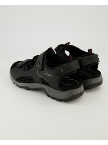 Ecco Outdoor- & Wanderschuhe in Schwarz