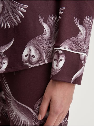 Calida Pyjama in black cherry