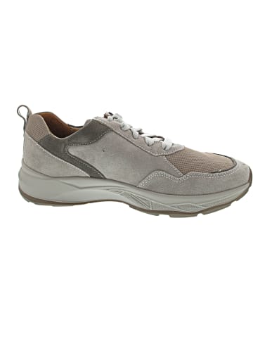 WALDLÄUFER H-Tom sportlicher Schnürer Grau