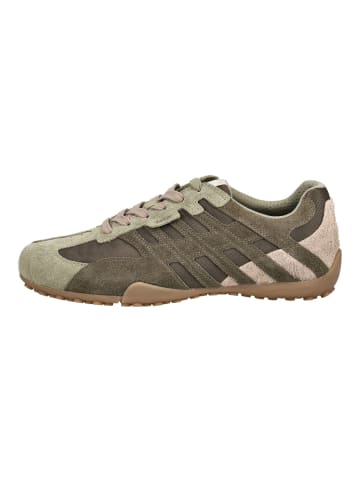 Geox Sneaker SNAKE SNAKE in Grün