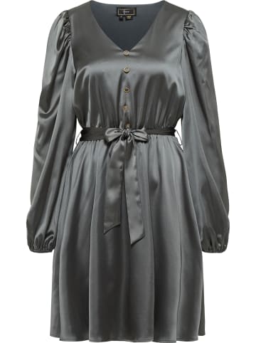 faina Kleid in Grau