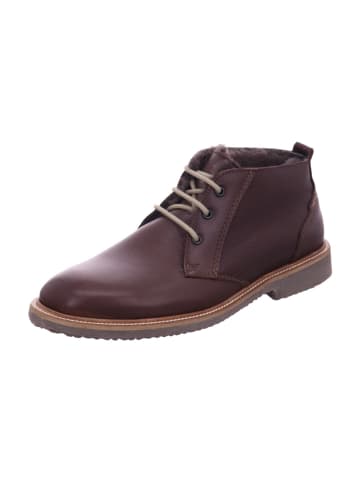 LLOYD Herrenstiefel  warm sportlicher Boden  in  Braun