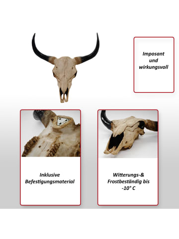 MCW Deko Schädel Stier, Natur