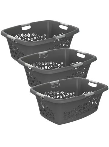 Rotho Flowers 3er-Set Wäschekorb 50l, Kunststoff (PP) BPA-frei in Anthrazit