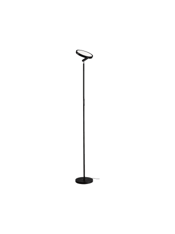 paulmann LED Stehleuchte Caneta Tunable White 1300lm 20W Schwarz