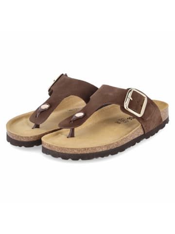 Beliana Pantolette in brown