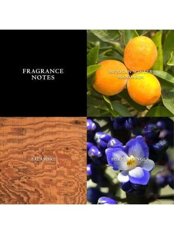 John Varvatos Artisan homme/men, Eau de Toilette, 1er Pack (1 x 75 ml)