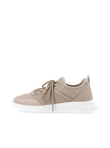 Bianco Sneakers in Nougat