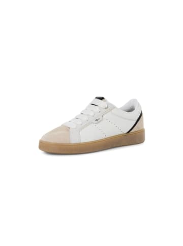 Tamaris Sneakers Low M2370244 in bunt
