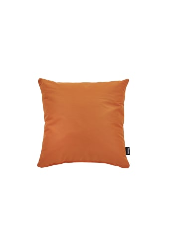 Cats Collection Kissen Outside in Orange