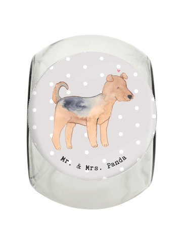 Mr. & Mrs. Panda Dose Airedale Terrier Moment ohne Spruch in Grau Pastell