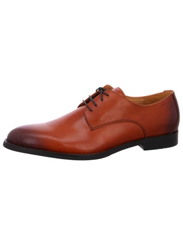 DIGEL Business Schuh Sebastian in Braun