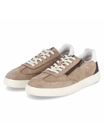 Bugatti Schnürhalbschuh in taupe