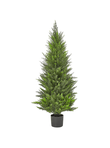 Beliani Kunstpflanze CEDAR TREE in Grün/Schwarz/Braun - (W) 40 x (H) 120 x (L) 40 cm