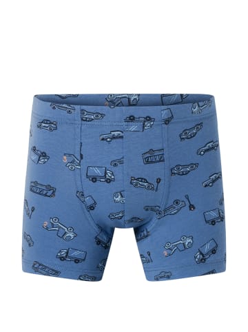 Schiesser Trunk 955 Multi in sortiert 7