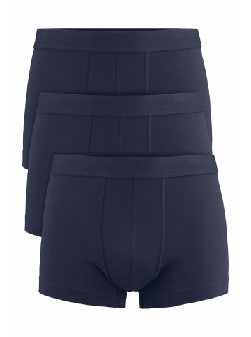Hessnatur Pants Regular Cut 3er-Pack in dunkelblau