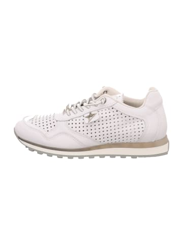 Cetti Sneaker Low in Weiß