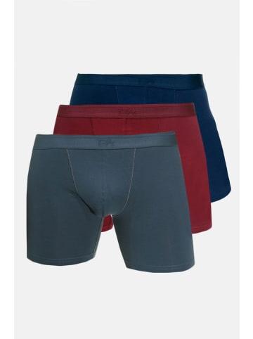 Doreanse 3er Set Pants in anthrazit/bordeaux/navy