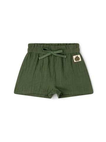 Little Green Radicals Shorts „By the Sea” in Grün