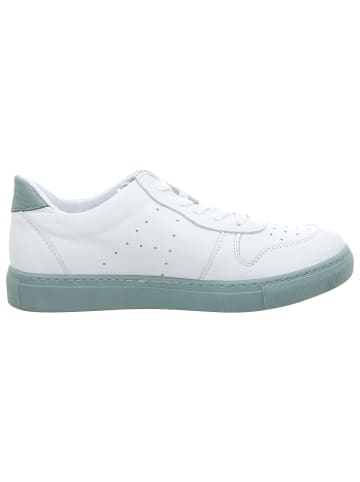 Andrea Conti Schnürschuhe in weiß