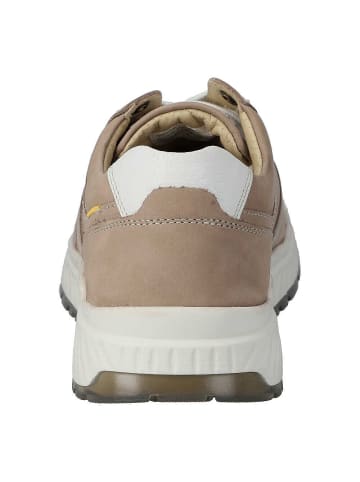 Camel Sneaker in sand