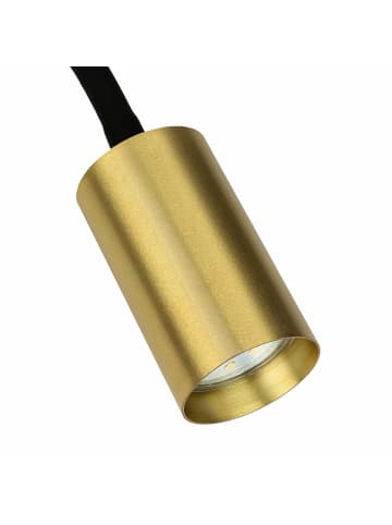 Licht-Erlebnisse Wandlampe (B)10 x (H)30 cm in Schwarz Messing