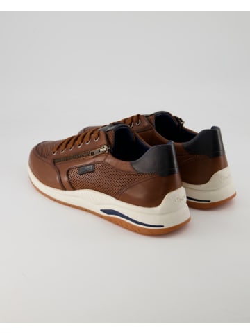 Sioux Sneaker low in Braun