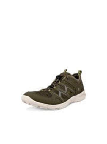Ecco Herren Halbschuhe  in Grün