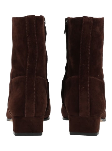 Steve Madden Stiefelette DUSTY in Chocolate