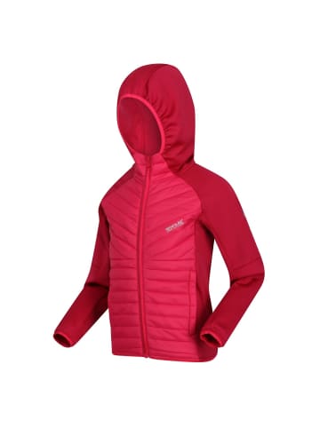 Regatta Hybrid Softshelljacke Kielder V in Beere