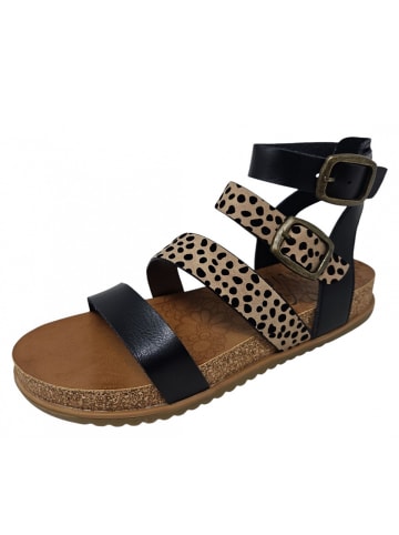 Blowfish Sandalette  in Schwarz