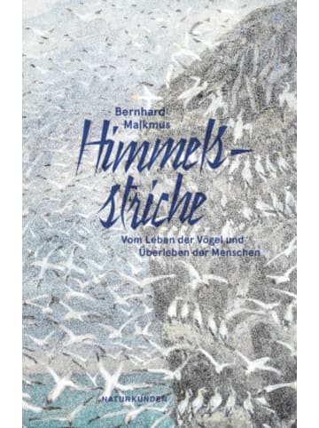 Matthes & Seitz Berlin Buch - Himmelsstriche
