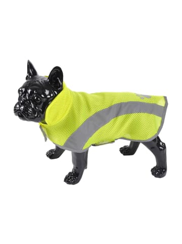 Love Story Regenmantel in gelb