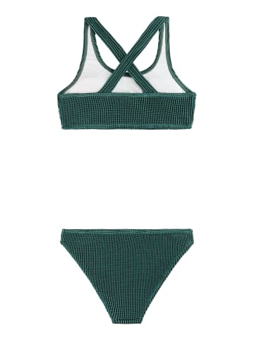 Protest " PRTLovely JR in Laurelgreen